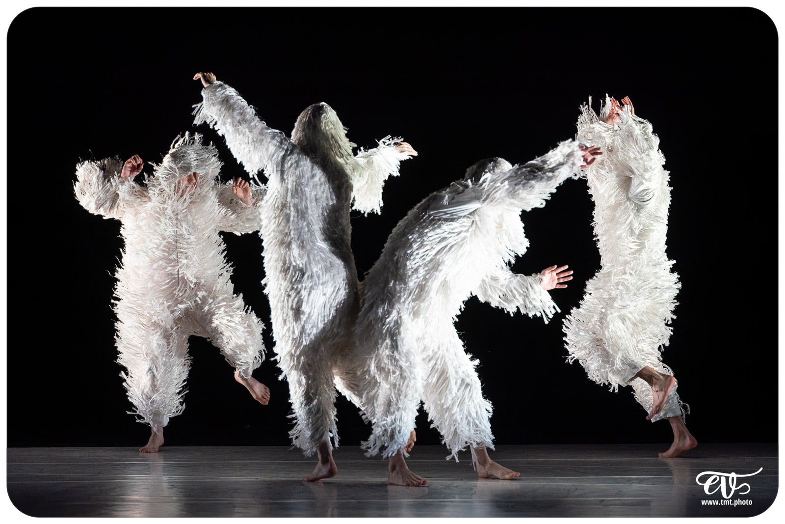 A4 (COMME LA FEUILLE) CIE CHICOS MAMBO